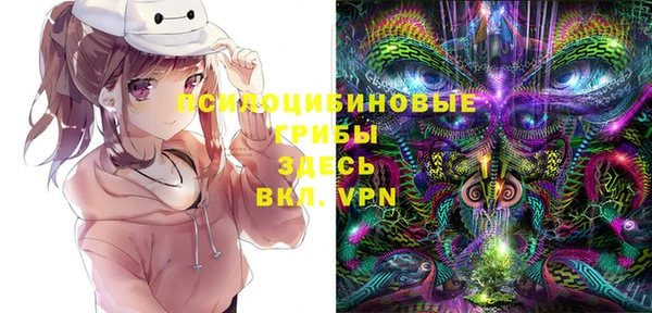 МДПВ Куйбышев