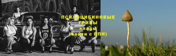 МДПВ Куйбышев