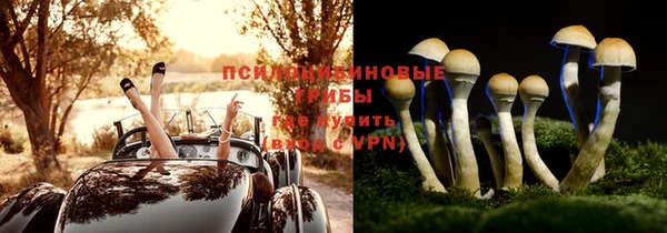 МДПВ Куйбышев